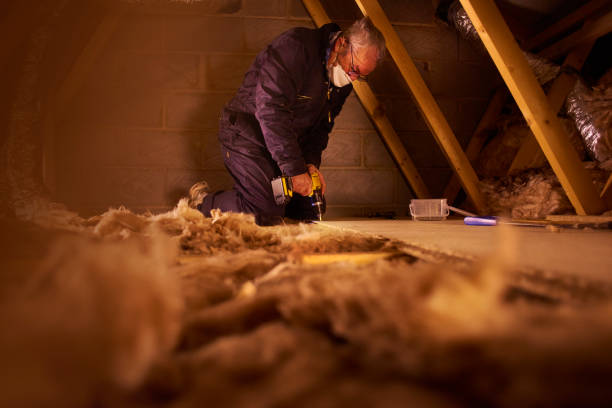 Best Residential Insulation in Grayson Vley, AL